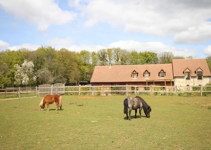 別荘 Familial 12 Pers., Animaux Acceptes, A L'oree De La Foret - Fr-1-497-18 *